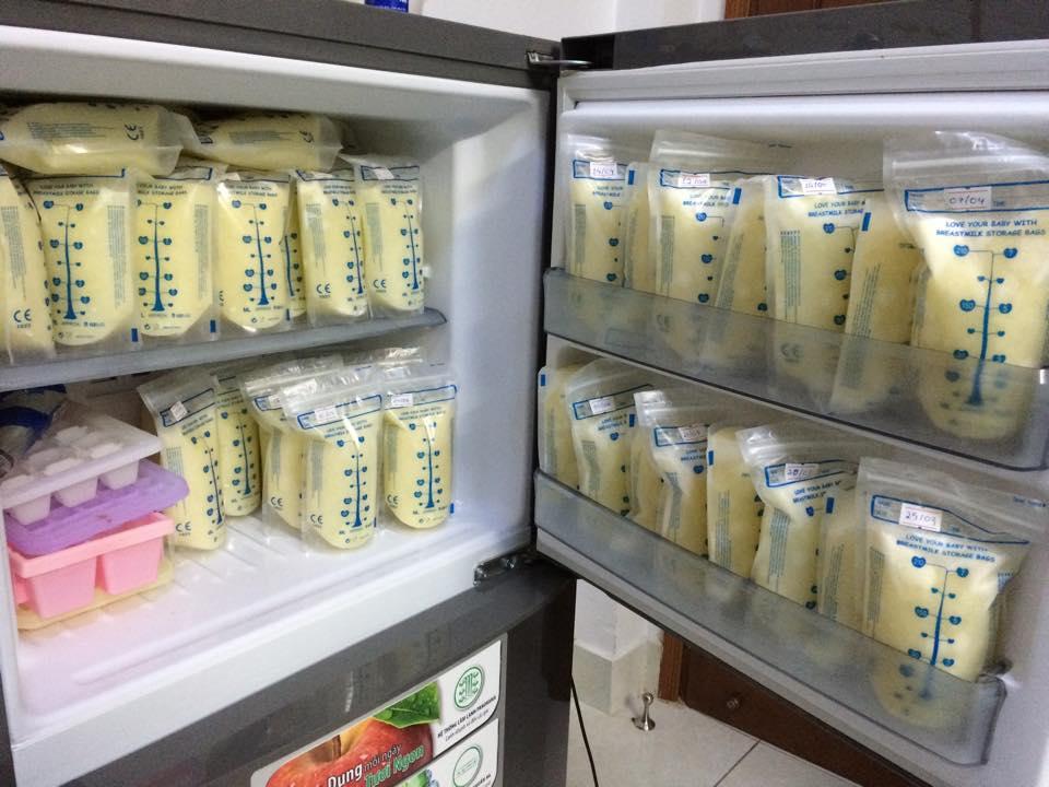 Tủ đông trữ sữa có thể đảm bảo chất lượng sữa hay không? 02