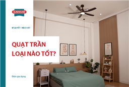 Quạt trần loại nào tốt? TOP 10 mẫu quạt trần mát & êm
