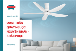 Quạt trần quay ngược: Nguyên nhân và khắc phục hiện quả
