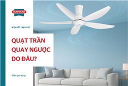 Quạt trần quay ngược: Nguyên nhân và khắc phục hiện quả