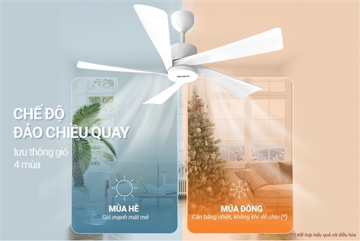 A-B3(39).jpg