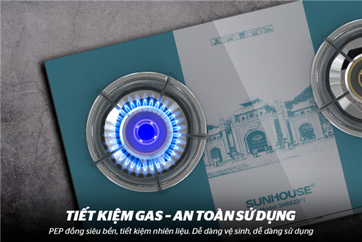 Thiết kế Sunhouse SHB623PT