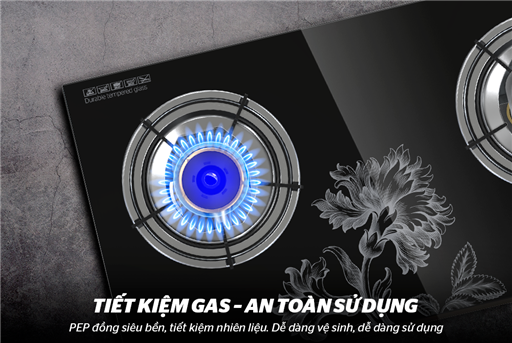 Thiết kế Sunhouse SHB625PT