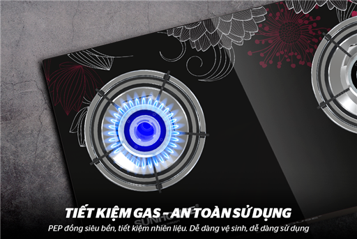 Thiết kế Sunhouse SHB626PT