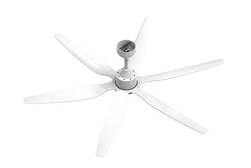 Quạt trần Sunhouse APF7692 - hình ảnh thực tế