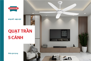 TOP 7 mẫu quạt trần 5 cánh đẹp, tốt và vận hành êm ái