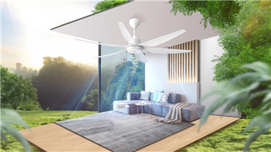 Quạt trần chung cư: Có nên lắp? Kinh nghiệm chọn quạt phù hợp cho không gian hiện đại