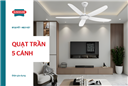 TOP 7 mẫu quạt trần 5 cánh đẹp, tốt và vận hành êm ái