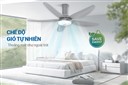 AB-3(72).jpg
