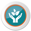 Bảo hiểm 5 tỷ đồng